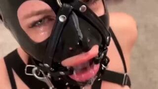 Latex — Blowjob, Cock